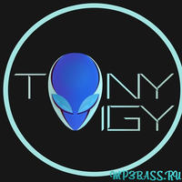 Tony Igy - Overcast (Original Mix)