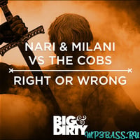 Песня Nari & Milani vs The Cobs - Right Or Wrong (Original Mix)