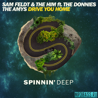 Sam Feldt & The Him feat. The Donnies The Amys - Drive You Home (Original Mix)