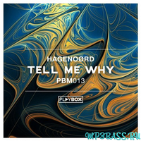 Hagenoørd - Tell Me Why (Original Mix)