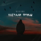 Песня Deesmi - Улетали Птицы