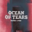 Imanbek - Ocean Of Tears (feat. Dvbbs)