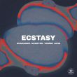Rompasso - Ecstasy (feat. Rasster & Yasmin Jane)