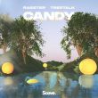 Rasster - Candy (feat. Treetalk)