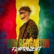 Песня Fly Project - Don Reggaeton