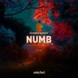Goodboys - Numb (feat. Avaion)