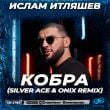 Ислам Итляшев - Кобра (Silver Ace & Onix Remix)
