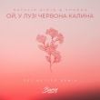 Песня Natalie Gioia & Shkoda - Ой, У Лузі Червона Калина (Get Better Remix)