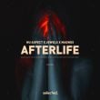 Песня Nu Aspect - Afterlife (feat. Jewels & Magnus)