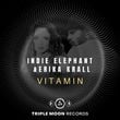 Песня Erika Krall & Indie Elephant - Vitamin (Extended Mix)