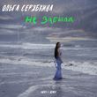 Ольга Серябкина - Не Забыла (Index-1 Remix)