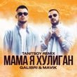 Песня Galibri & Mavik - Мама Я Хулиган (Tanitsoy Remix)