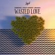 Dubdogz - Wasted Love (feat. Crazy Donkey & Brando)