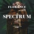 Песня Florence & The Machine - Spectrum (Say My Name) (Marco Generani Remix)