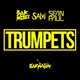 Sak Noel & Salvi feat. Sean Paul - Trumpets (Radio Edit)
