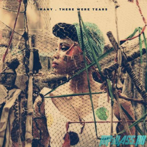 Песня Imany - There Were Tears