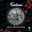 Песня Shanti People - Tandava (Blazy & Gottinari Remix)