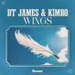 DT James - Wings (feat. Kimbo)