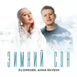 DJ DimixeR - Зимний Сон (feat. Анна Якубук)