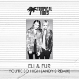 Eli And Fur - You're So High (Andy S Remix)