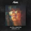 Песня Killteq - Wonderful Life (feat. Dimestrix)