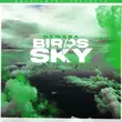 Newera - Birds In The Sky