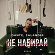 Dante - Не Набирай (Salandir Remix)