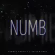 Tommee Profitt - Numb (feat. Skylar Grey)