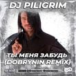 DJ Piligrim - Ты Меня Забудь (Dobrynin Remix)