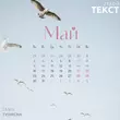 Tanir - Май (feat. Tyomcha)