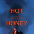 Песня Tiësto - Hot Honey (feat. Alana Springsteen)