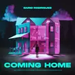 Песня Dario Rodriguez - Coming Home