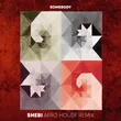 Песня Gotye - Somebody (Shebi & Soheil Ray Remix)