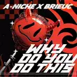 Песня A-Niche - Why Do You Do This (feat. Brieuc)