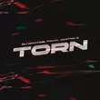 Песня DJ DimixeR - Torn (feat. Favia & Dmitrii G)