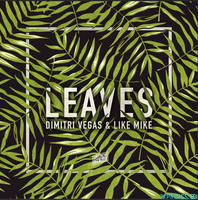 Песня Dimitri Vegas & Like Mike - Leaves (Original Mix)