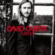 David Guetta & Emeli Sande - What I Did For Love (Extended Mix)