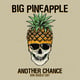 Big Pineapple - Another Chance (Don Diablo Extended Edit)